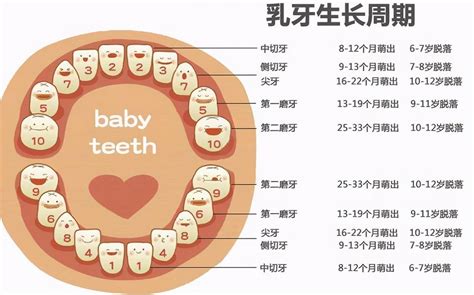 小朋友出大牙|宝宝出牙的顺序是怎样的？出牙晚了要紧么？